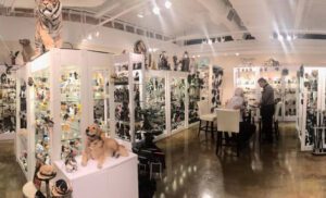 Pacific-Trading-Vegas2